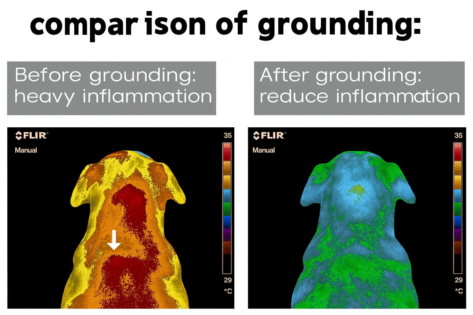 PawGround™  Grounding Mat